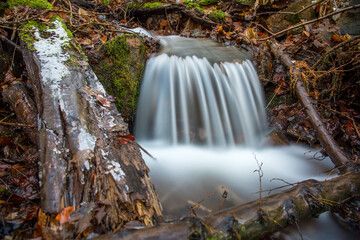 Wilde Wei&szlig;eritz in der N&auml;he von Tharandt