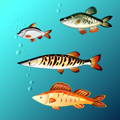 Set of beautiful fish. Aquarium. Sea life. Vector illustration