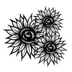 Sunflower marker bright black white flower with leaves hand drawn line stroke
