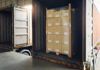 Packaging Boxes on Pallets Loading into Shipping Cargo Container at Warehouse Dock. Delivery Supply Chain. Industry Cargo Freight Truck Transport Logistics.