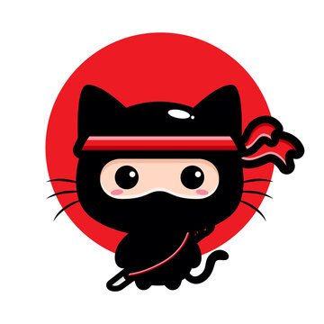 Copy cat ninja｜TikTok Search