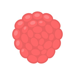 Cute lychee exotic fruit, isolated colorful vector icon