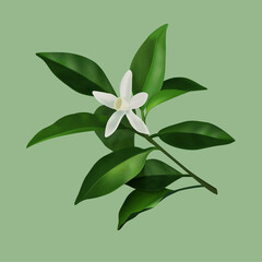 3d illustration of jasmine flower