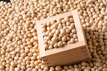 大豆