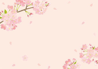 Obraz premium 桜 背景イラスト