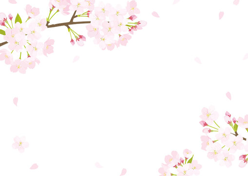 Perori Photos Images Assets Adobe Stock