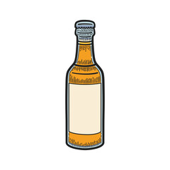 Close beer bottle. Vintage color vector engraving illustration.