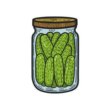 Hand drawn jar of canned cucumbers. Colourful Sketch. Vector illustration