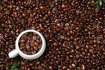 Coffee beans in a white ceramic cup placed among freshly roasted coffee beans. View from above. Coffee background with space for text