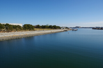 葛西臨海公園から見る臨海部のスカイライン