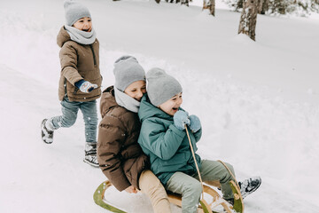 Three boys riding a sledge in the winter forest, laughing, having fun.