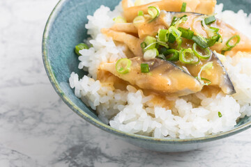 鯖の胡麻味噌どんぶり