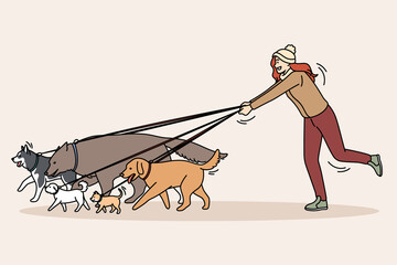 Love to animals and dogs concept. Young smiling girl walking many little and big dogs on leashes outdoors enjoying company vector illustration 