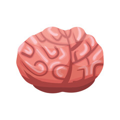 Human brain, organ. Vector illustration cartoon style