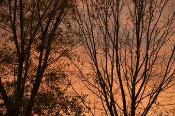 Photos taken at sunset while on a stroll through the beautiful Aqueducts Park in Rome, with the majestic ruins of ancient Roman aqueducts and trees