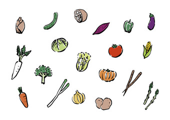 Set of a vector illustration of vegetables