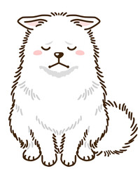 落ち込む日本スピッツ