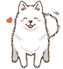 なつく日本スピッツ