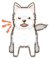 威嚇するウエストハイランドホワイトテリア