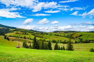 Fototapeta na wymiar beautiful glade with green grass and coniferous trees on a background of beautiful mountain landscape in summer day. blue sky with clouds.