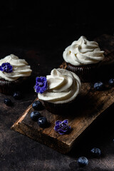 Chocolate cupcakes with blueberries on a dark table