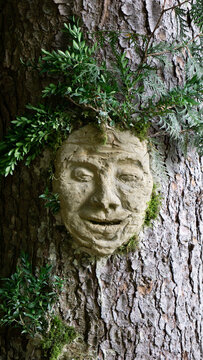 M&auml;rchenhafte Baumgesichter