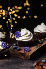Chocolate cupcakes with blueberries on a dark table