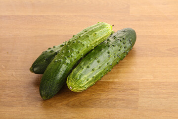 Fersh juicy green cucumbers heap