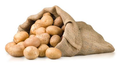 scattered potatoes in a burlap on a white isolated background