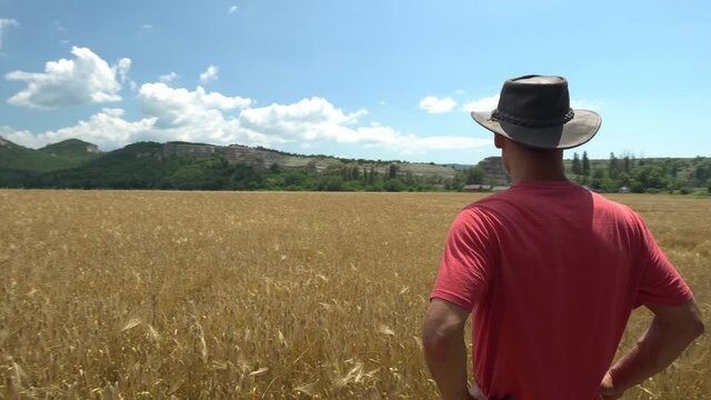 A middle-aged american man farmer in a hat stands in a field and looks at a ripe field of wheat. Agriculture industry harvesting concept