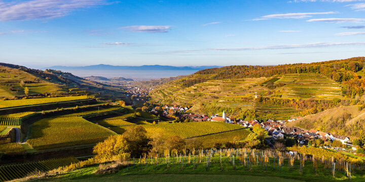 Germany, Baden-Wurttemberg, Vogtsburg im Kaiserstuhl, Vineyards surrounding rural town in Kaiserstuhl range