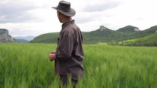 Wheat Farming. Farmer man in a walk on a green wheat field. Agronomist grows wheat, Fammily small farming