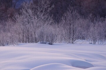 Obraz premium 雪国の朝 冬の朝の光景