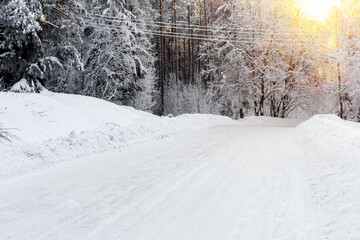 Winter Road. A path in the snow in the winter forest on a sunny day.