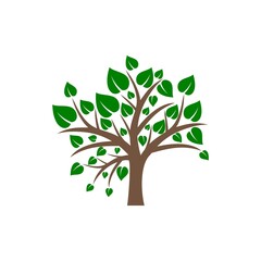 Tree icon isolated on white background 