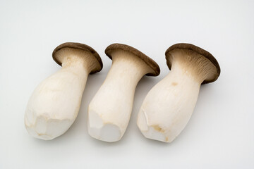 Three fresh pine mushrooms on the white background.