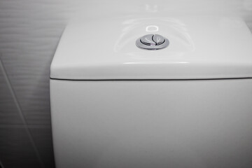 flushing toilet button