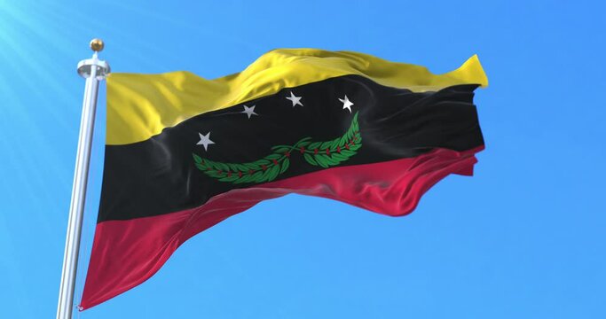 Tachira State Flag, Venezuela. Loop