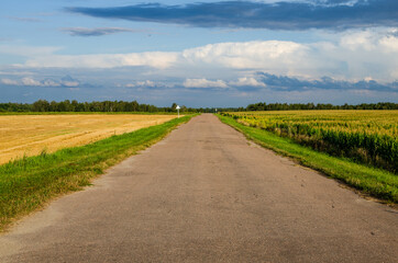 Road going into the distance in the countryside between the fields