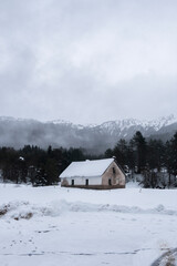 Paisaje nevado cerca de los Pirineos, foto vertical.