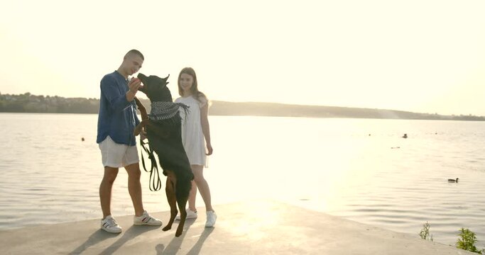 Young European couple going near lake with dog