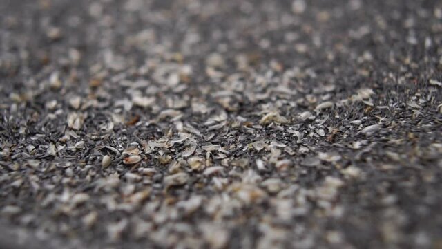 Dissolving psyllium husk in water in slow motion. Super food concept. Macro shot. Healthy grain diet drink
