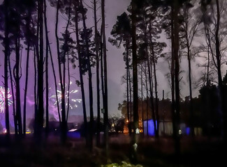 Fototapety na wymiar - Fototapeta24.pl