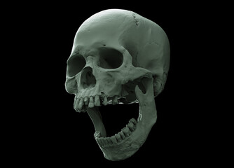 White Human skull on Black Isolated Background. The concept art of death, horror. Design for print, poster. A symbol of spooky Halloween, Virus, immortal, pirate. 3d rendering illustration.