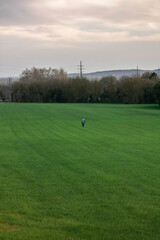 Persona caminando por el campo