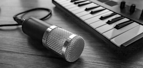 microphone, midi keyboard