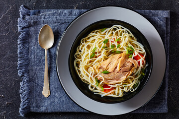 chicken noodle soup with carrots and scallion