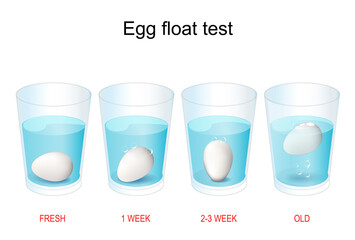 egg floating test