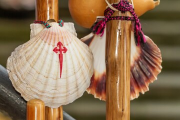 Pilgrim's scallop with cane and pumpkin, in Santiago de Compostela, selective approach. - obrazy, fototapety, plakaty