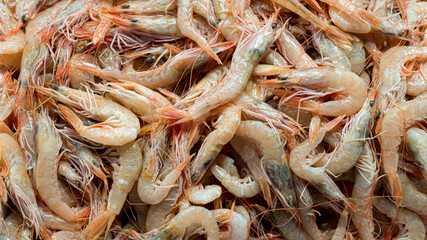 fresh shrimps on display at the seafood counter